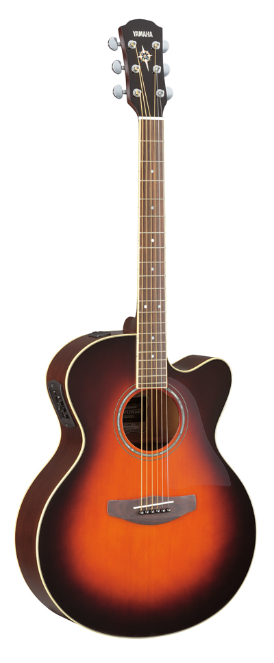 cpx500_2_ovs.jpg