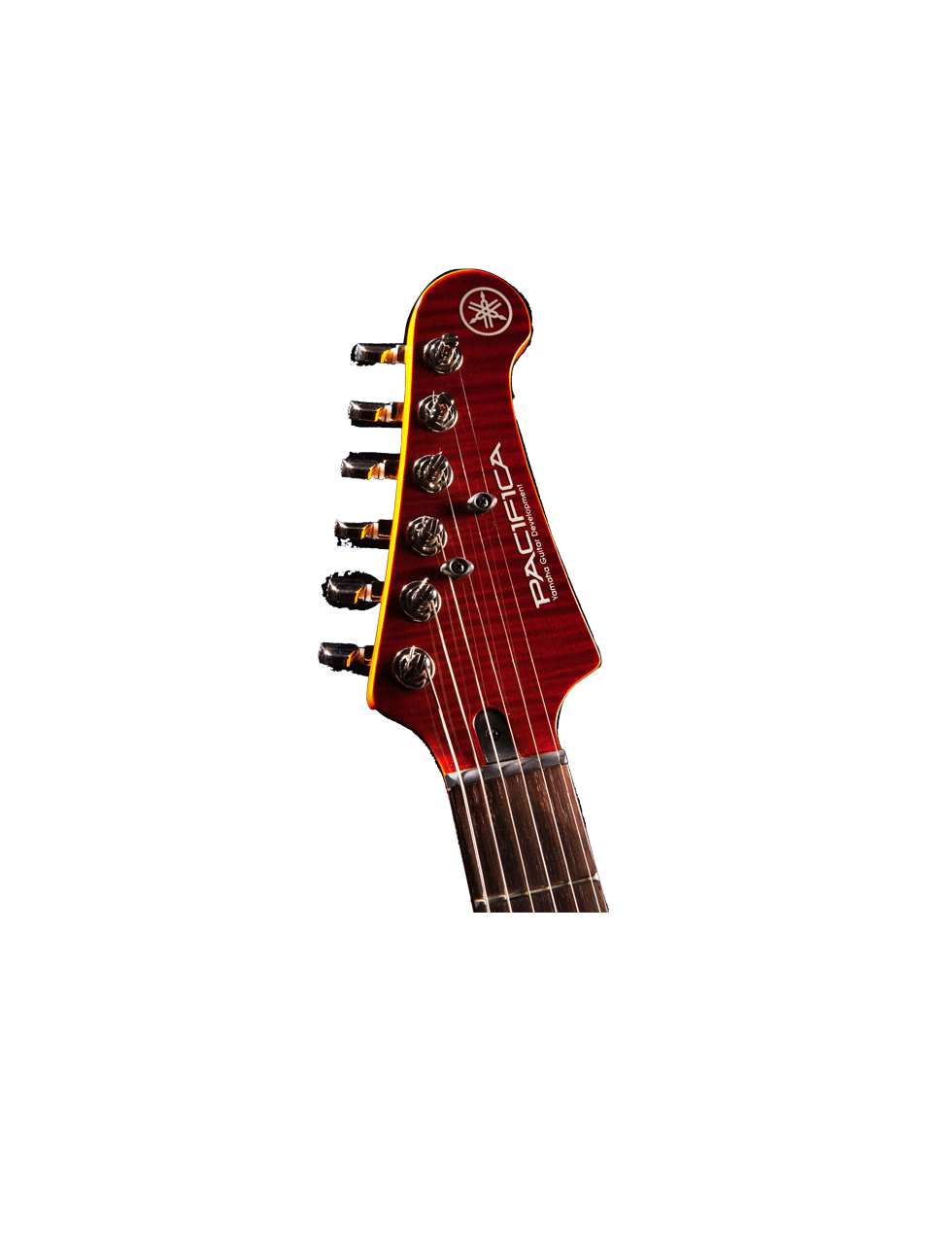 Pacifica612VII-RTB-Headstock.png