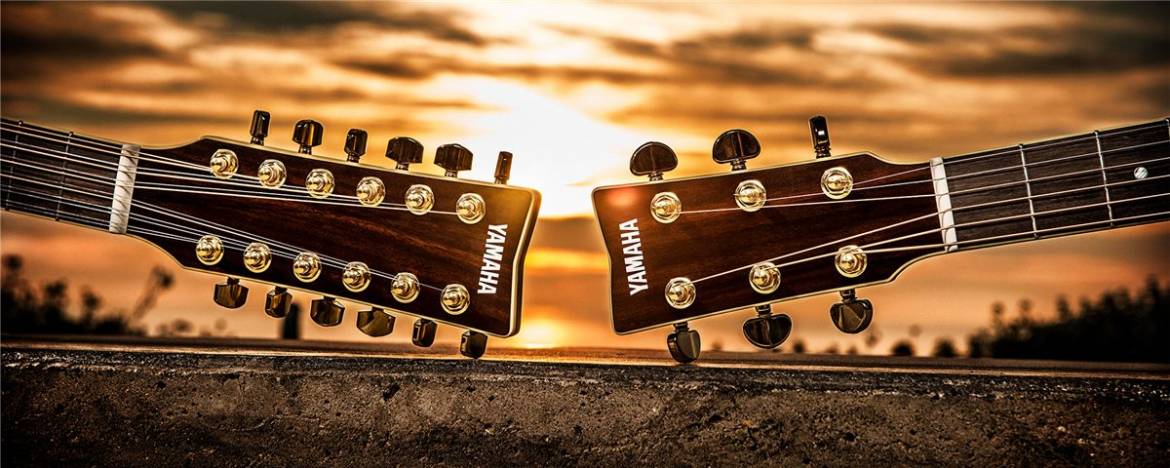 ac_guitars_1200x480_47f3b7250063128cb85ce030568e83af.jpg