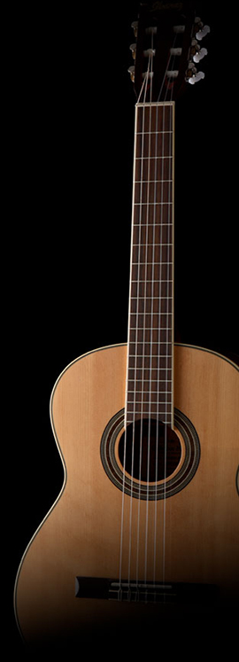 guitar-classic1.jpg