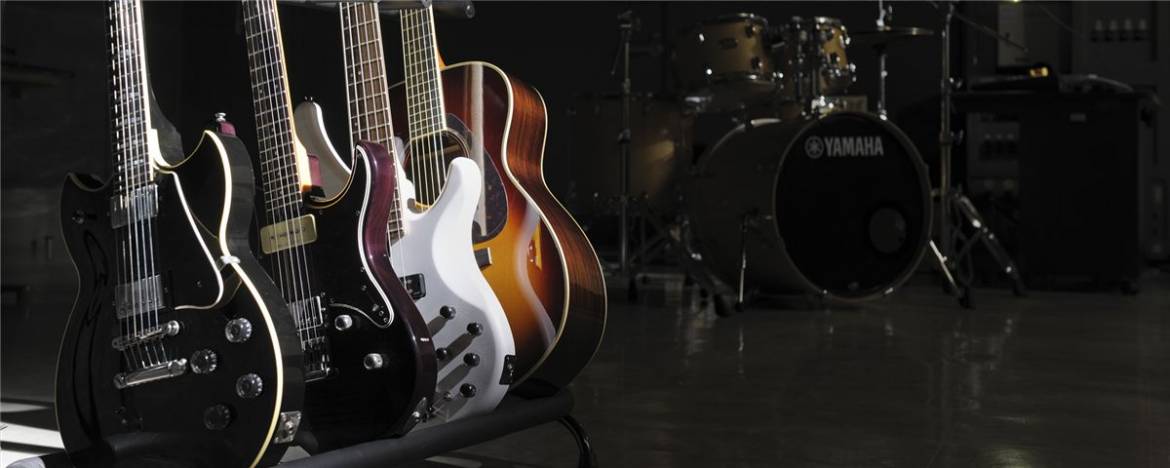 guitars_basses_1200x480_6efa5cba3f604d4e9033bda0f0fac2121.jpg